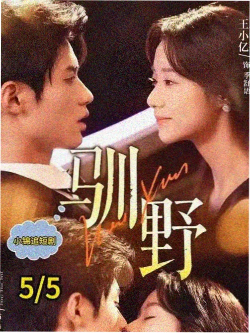 剧集图鉴 周更追踪类 样本封面